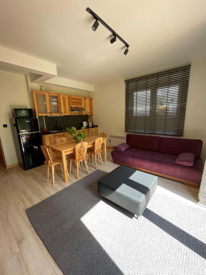 Apartament Willa Hrube parter z tarasem i kominkiem Zakopane Exteriör bild