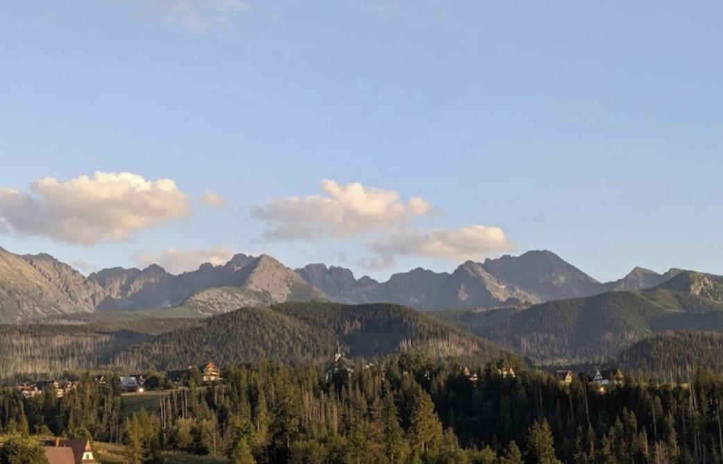 Apartament Willa Hrube parter z tarasem i kominkiem Zakopane Exteriör bild